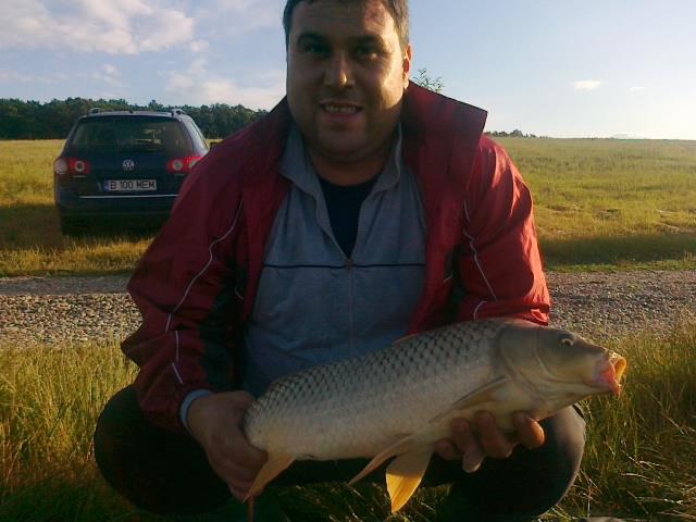 peste - picture-018.jpg